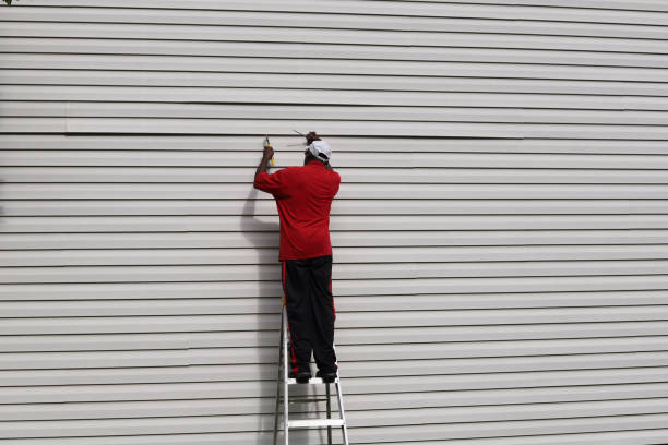  Alamo, GA Siding Pros